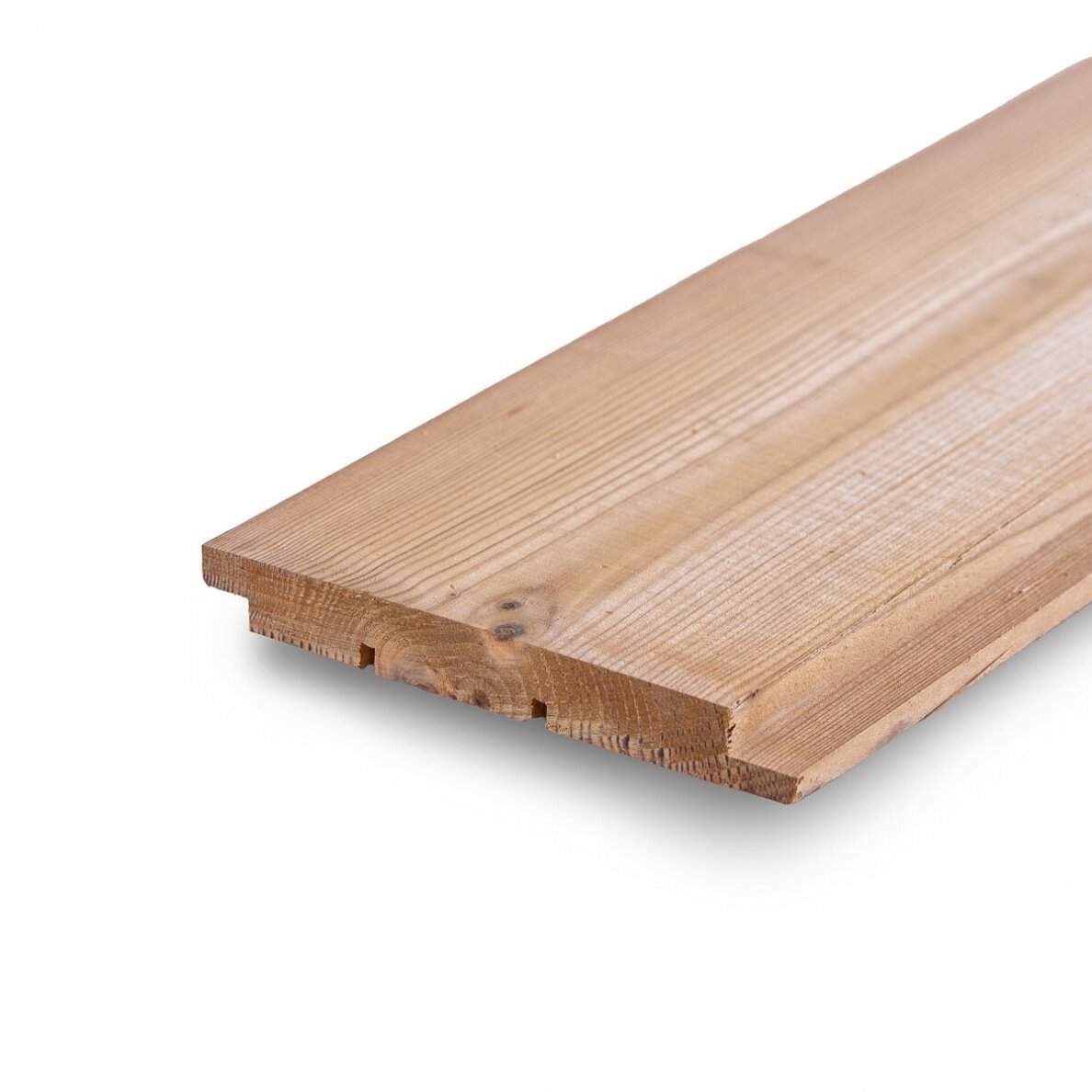 maumedzio-dailylente-20x140x6000-1 (1)